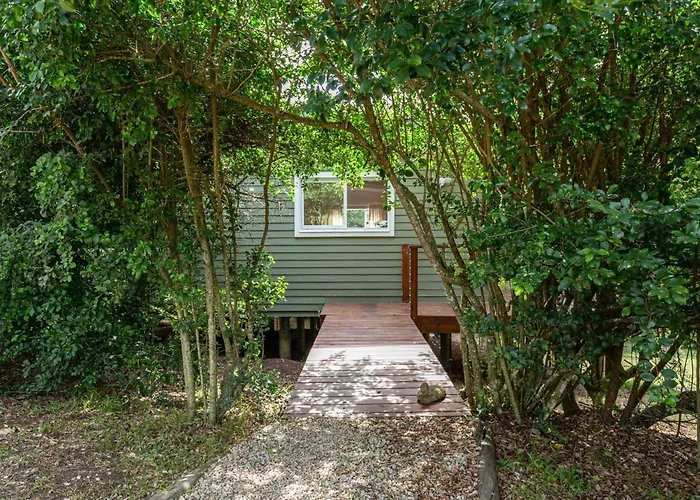 Forest Glades