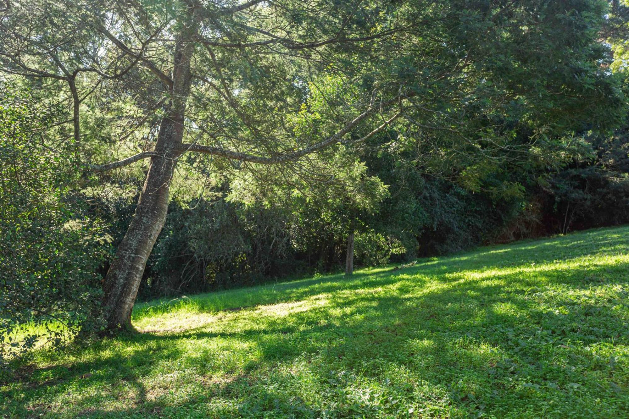 Forest Glades Chalé Knysna